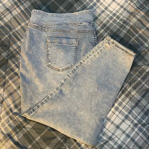 Terra & Sky Jeggings 3x (24/26W)